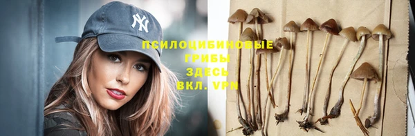 МДПВ Вяземский