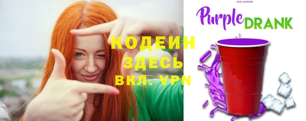МДПВ Вяземский