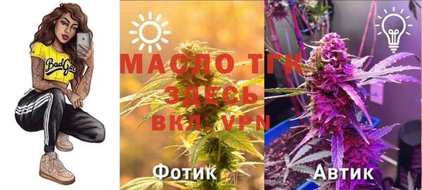 МДПВ Вяземский