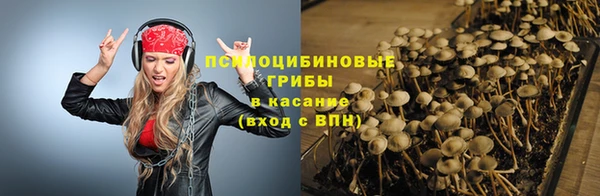 прущий лед Вязники